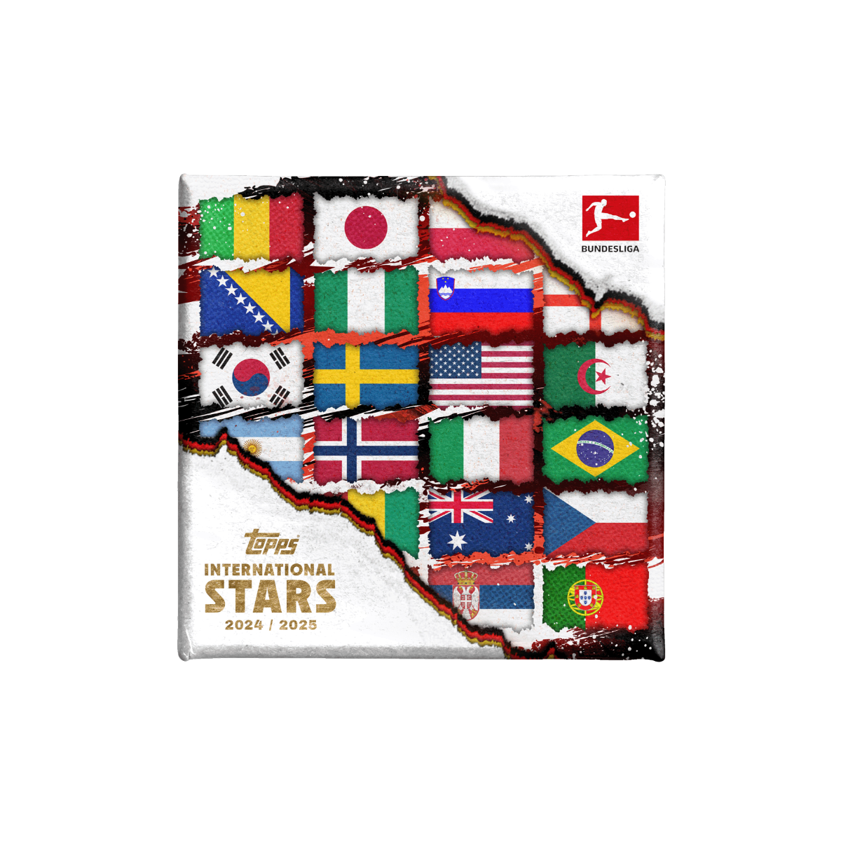 Bundesliga International Stars 2024/25