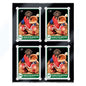 Ultra PRO 35PT 4-Card Black Border UV ONE-TOUCH Magnetic Holder